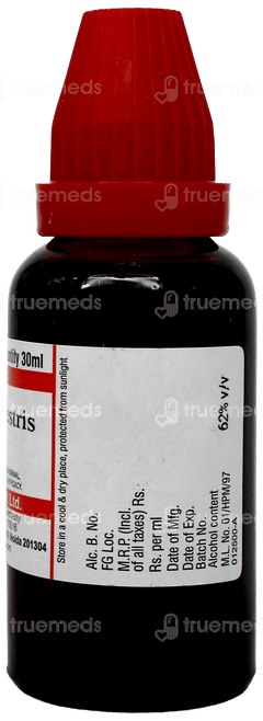 Dr Willmar Schwabe Tribulus Terrestris Q Mother Tincture 30ml